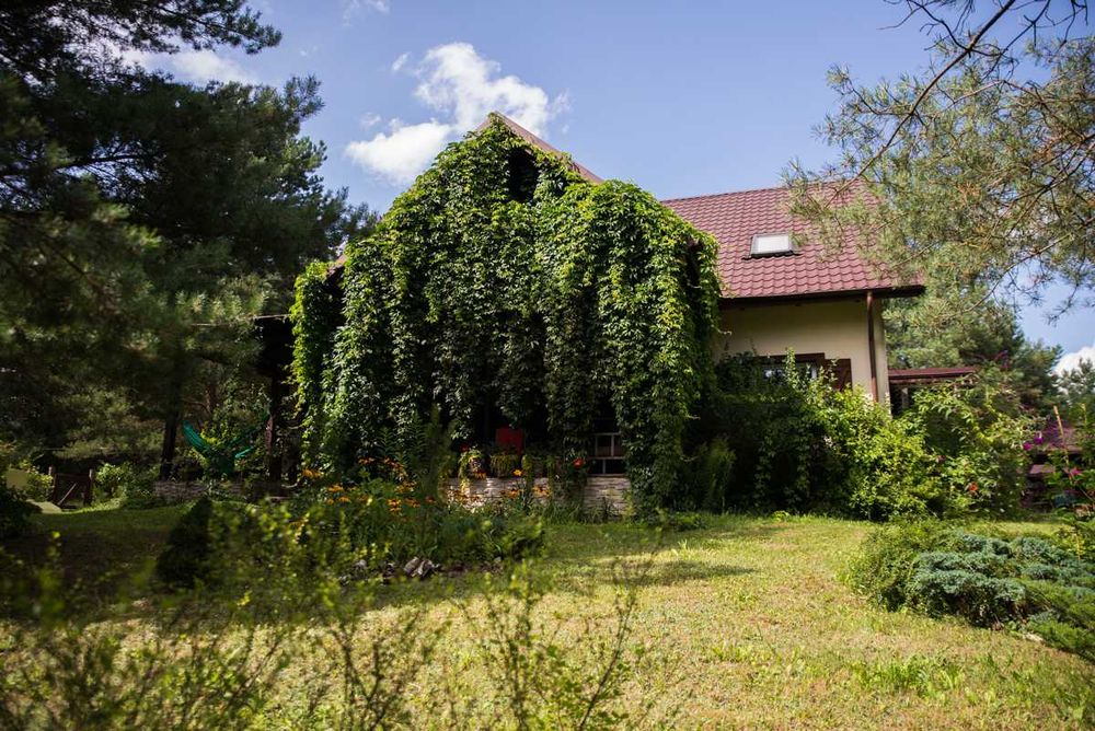 Bory Tucholskie: pokój w willi na skraju lasu, śniadania, jacuzzi, sauna