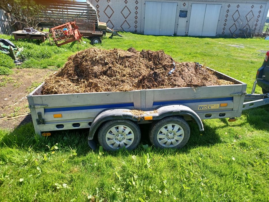 Obornika kurzy  z dostawą