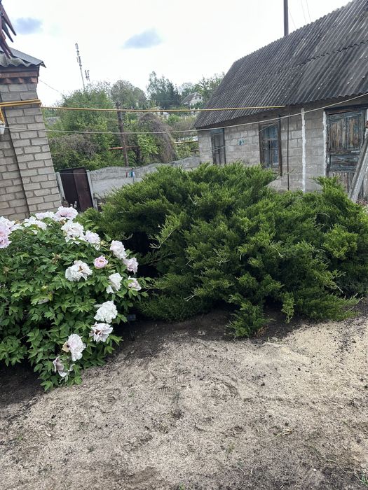 Продаж будинку Шляхівка/Басейна Сертифікат