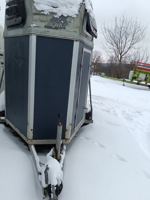 Przyczepka do koni  i bydła