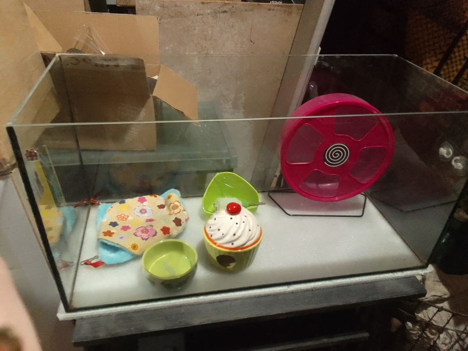 Akwarium dla chomika