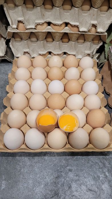 Jajka wiejskie sprzedam