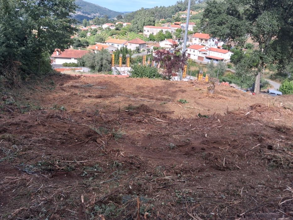 Limpeza de terrenos agrícolas e florestais