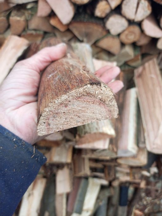 Дрова СуХі та свіжоколоті твердих порід