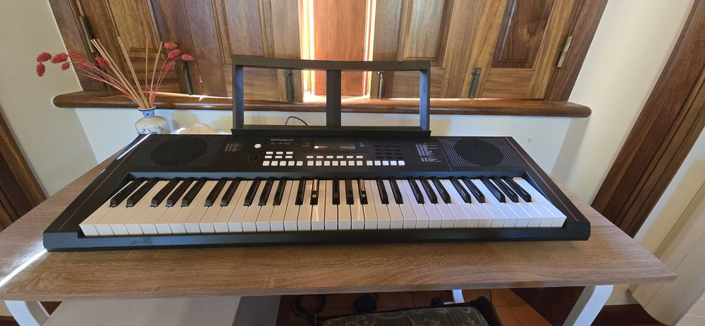 Vendo orgão + ukulele