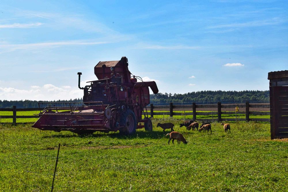 Leśny Zakątek Uroczysko- noclegi ,sauna, ruska bania ,basen