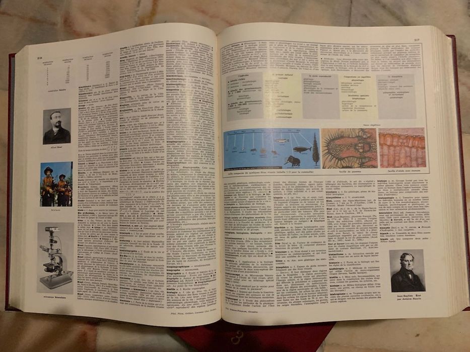 Dicionários Larousse