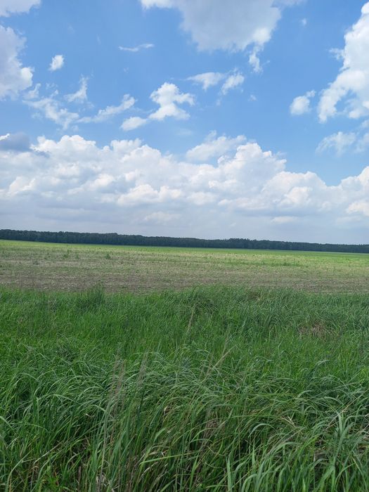 Продажа 65Га собственность. Киевская обл.