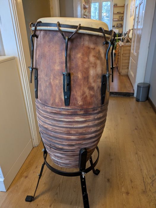 Conga 13 "x 65 cm wys.