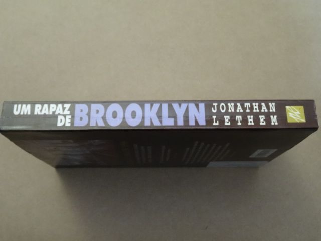 Um Rapaz de Brooklyn de Jonathan Lethem