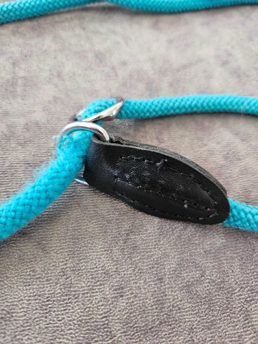 Coleira curta para cão (azul)