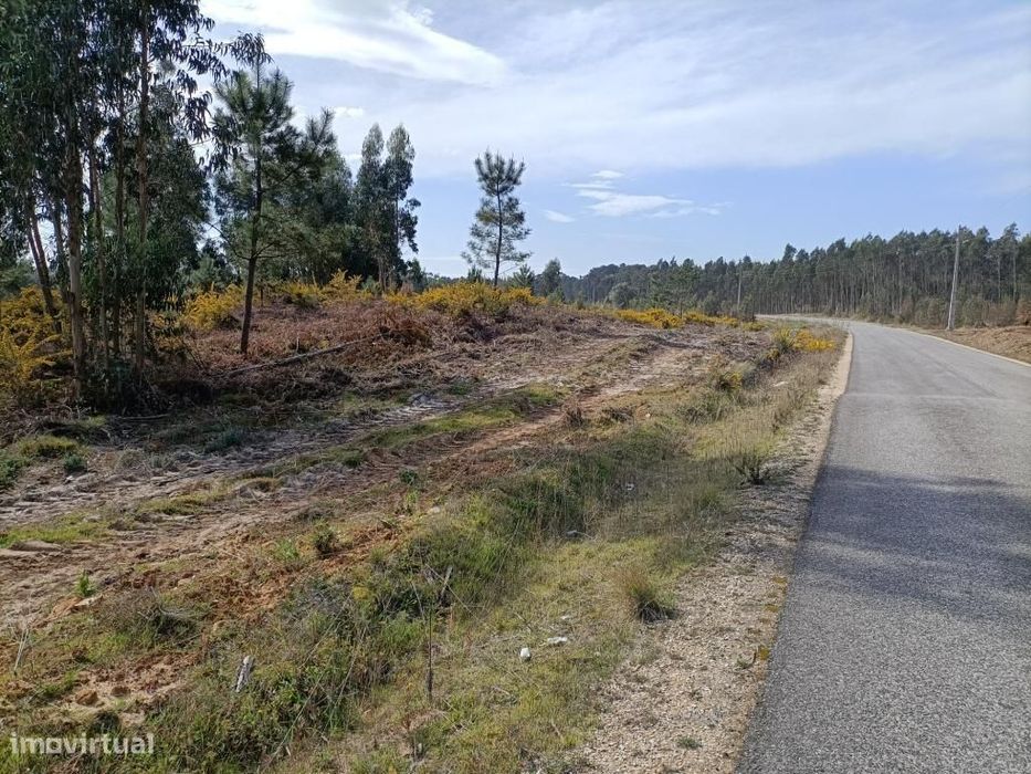Terreno Serra do Bouro-Caldas da Rainha