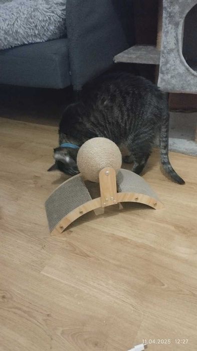 Drapak dla kota tekturowy z kulą zabawką mata do drapania drewniany stojak 60cm