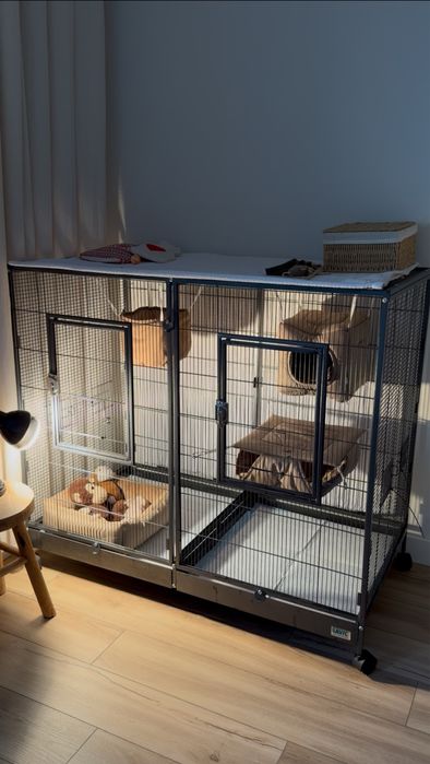 Woliera Savic Tasmania