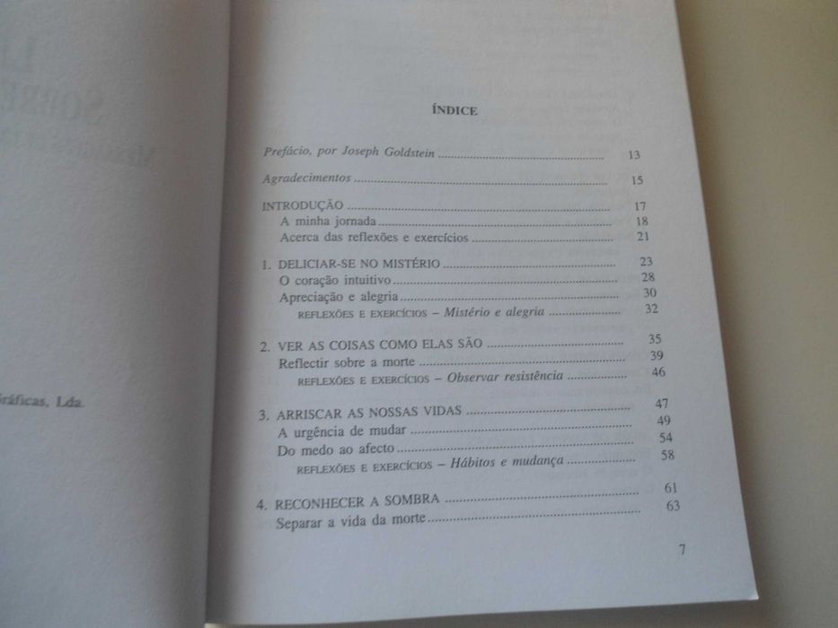 Lições sobre a Morte-Mensagens dum mundo desconhecido de Rodney Smith64283888958466124