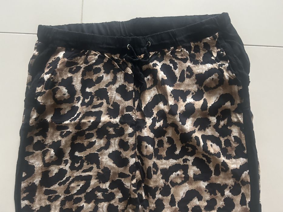 Spodnie Sinsay zwierzecy print L