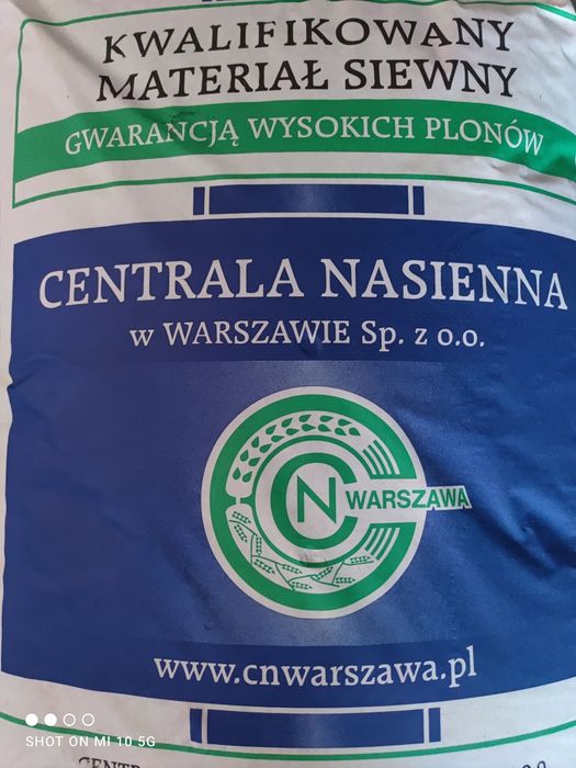Kwalifikowany materiał zbóż Pszenica ,Jęczmień Winne, Midnight,Pszenżyto,Owies,