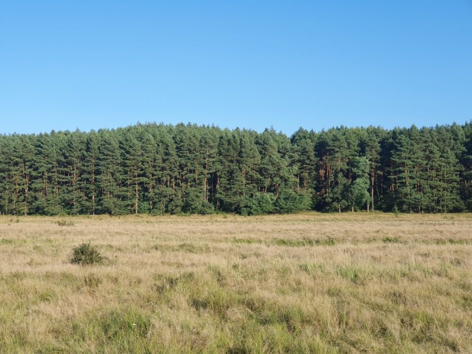 Продам земельну ділянку с. Карачинів 10 сот