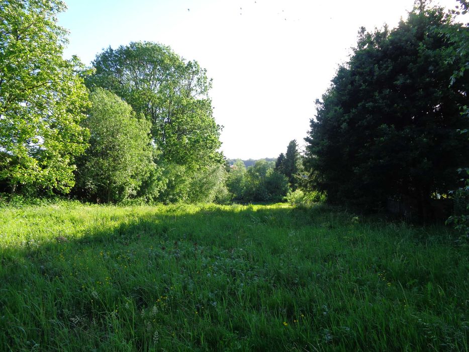 Działka budowlana / inwestycyjna 0,54 ha - Głuchołazy