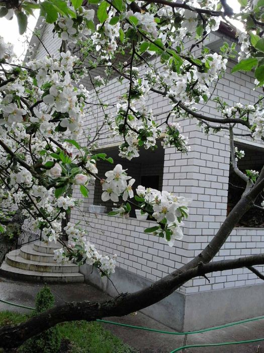 Продаж будинку Віта Поштова Киів