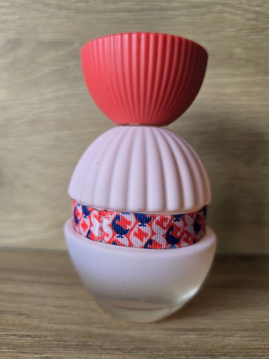 El Ganso Fun And Chic 100ml
