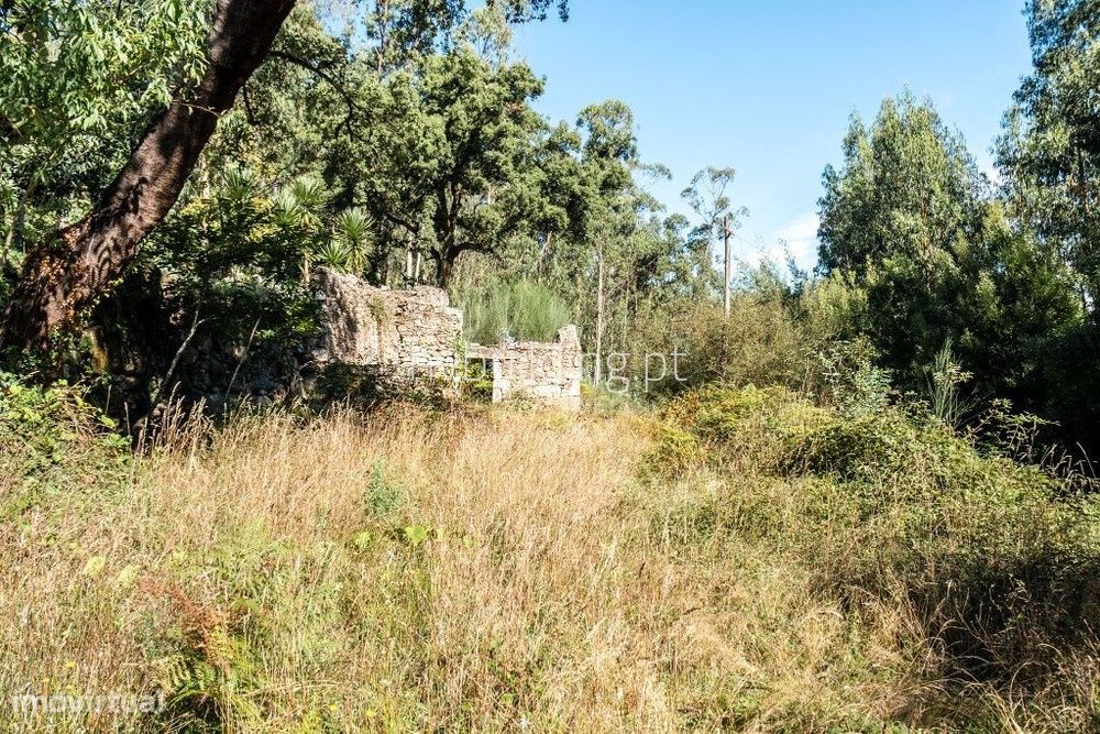 BAIXA DE PREÇO - Moradia para restauro + terreno em Aguiar, Barcelos