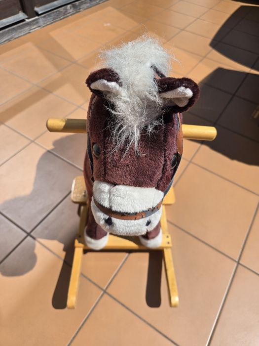 Konik na biegunach