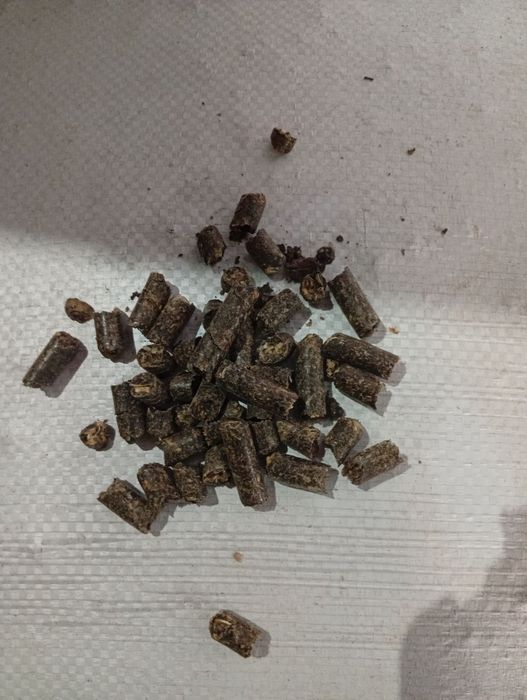 Продам брекети і гранули