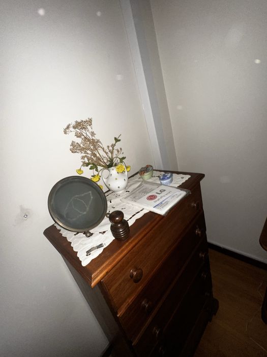 Vendo camiseiro em bom estado