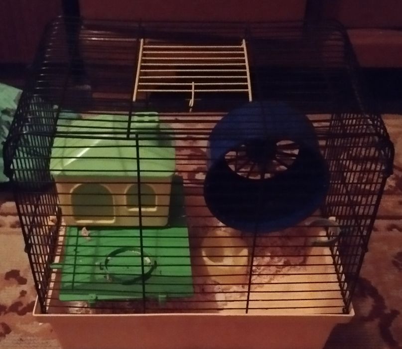 Меняю клетку на планшет.