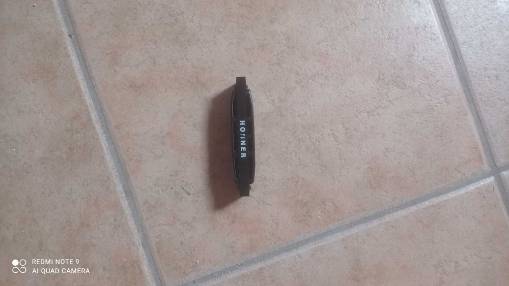 Gaita de beiços em bom estado