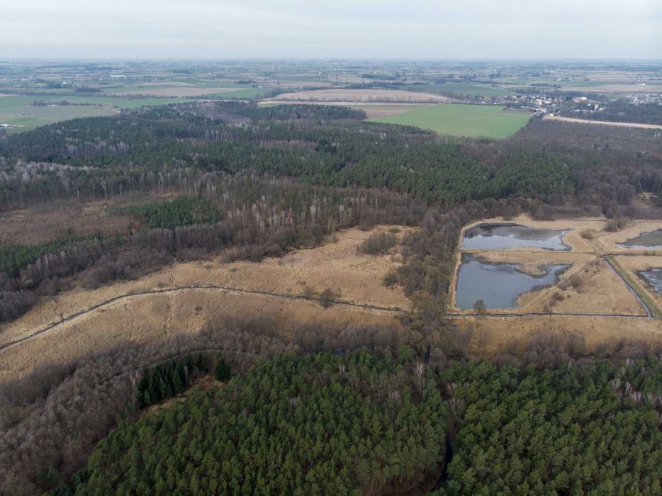 Siedlisko stare stawy 11,5 h - Więcej