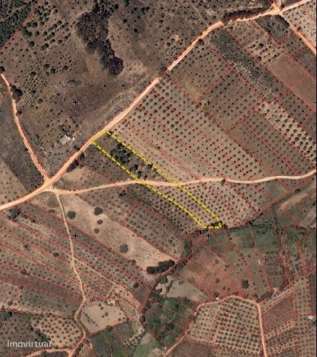 Terreno Rústico - Baldio em Malpica do Tejo