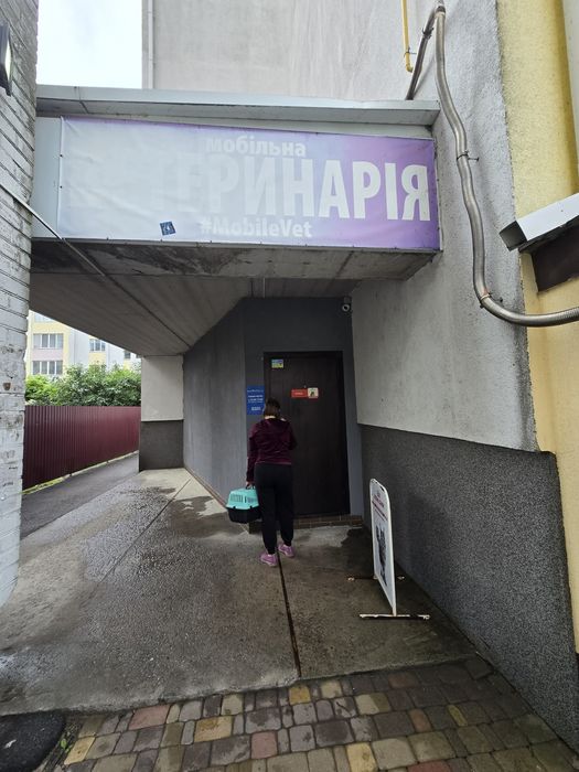 Оренда приміщення Щасливе!!!