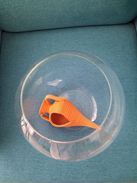 Aquário redondo de vidro