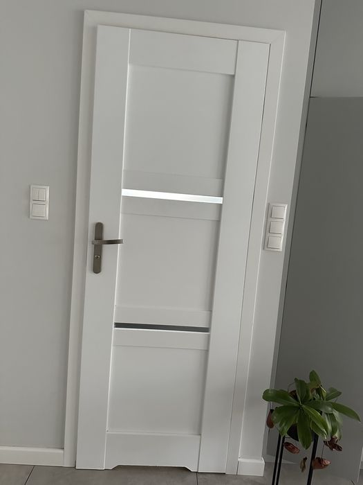 Drzwi bezprzylgowe Windoor