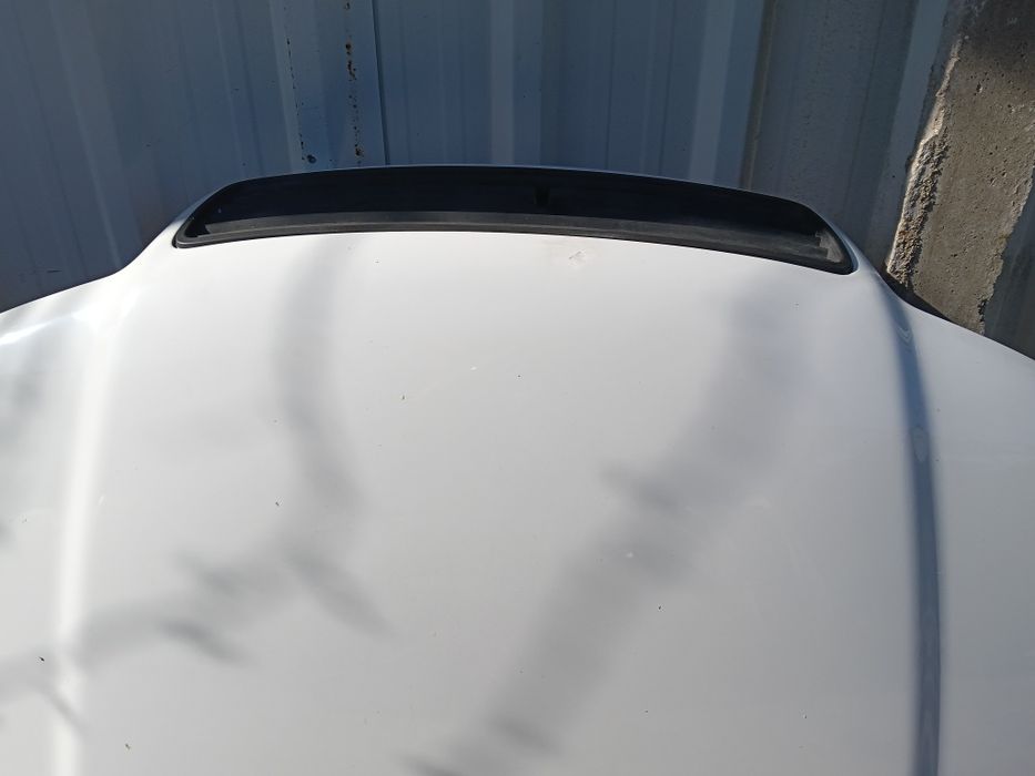 Capôt / Capo / Capon - Audi A4 B5