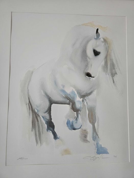 Serigrafia De Cavalo em aquarela de Beatrice Bulteau