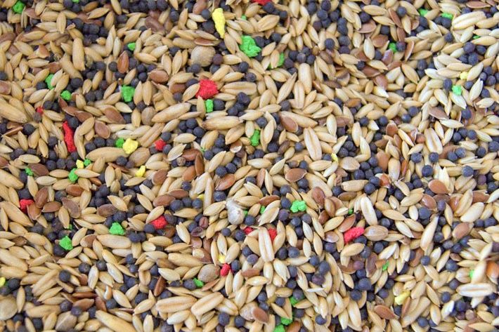 Mieszanka pokarm K- kanarek 20kg kanarek z witaminami