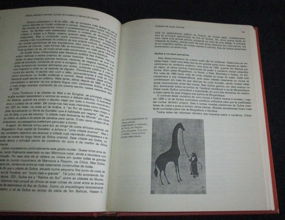 Livro À descoberta do passado de África Basil Davidson