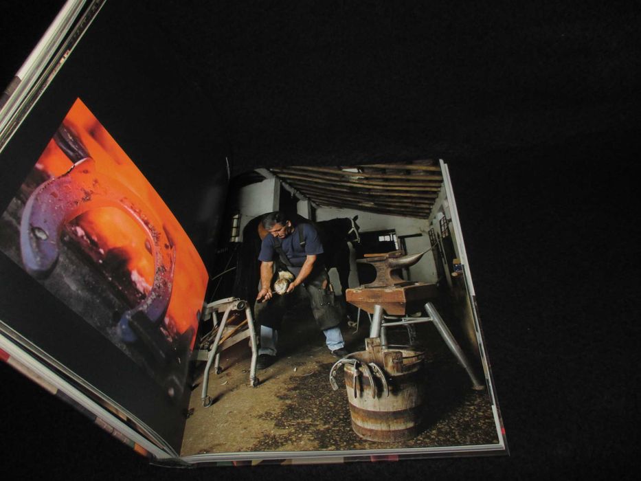 Livro Hipismo em Lisboa Memórias Sociedade Hípica Autografado