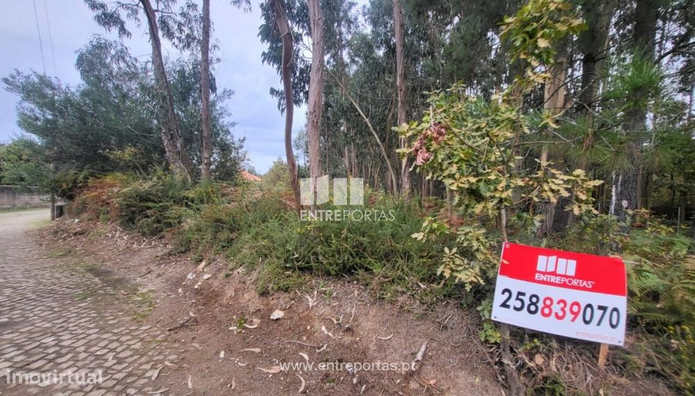 Venda de terreno florestal c/ 650m², Subportela, Viana do Castelo
