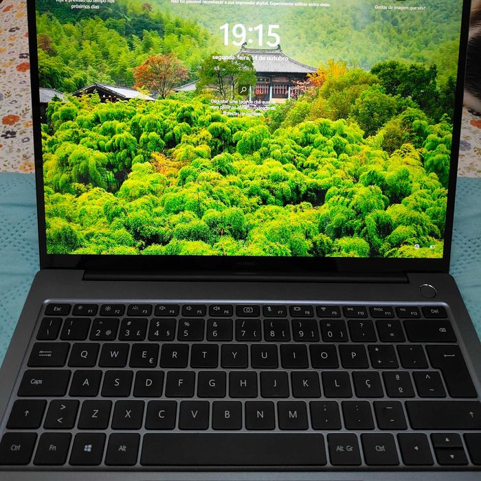 Portátil Huawei Matebook D 14