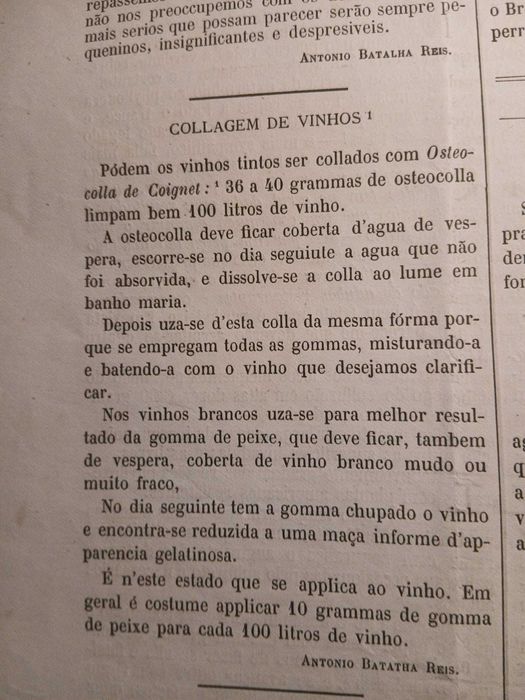 Gazeta dos Lavradores, Março de 1881