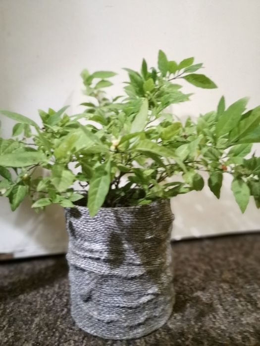 Doniczki z recyklingu