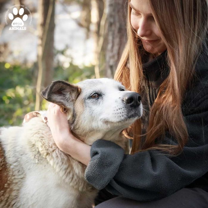 Przemiła sunia Nelcia do adopcji!