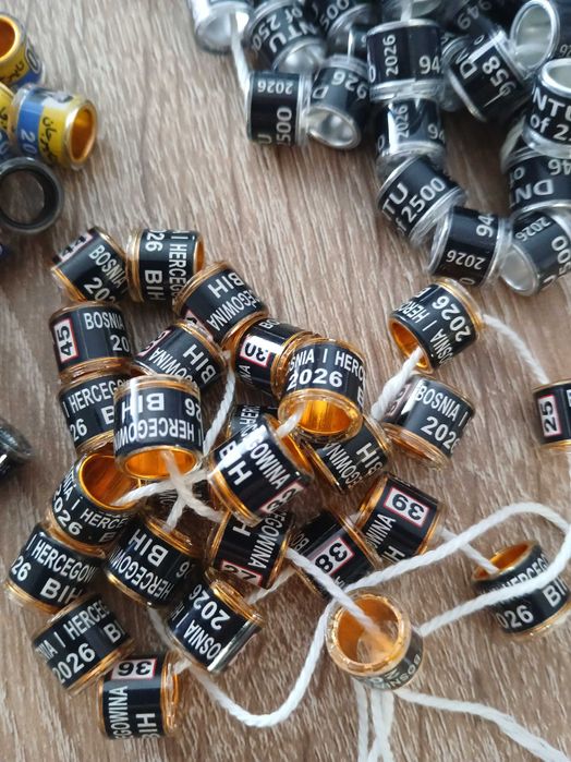 Obrączki dla gołębi 2026