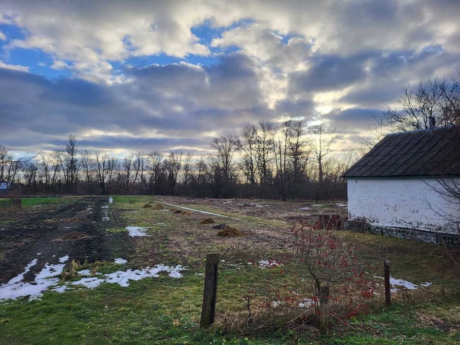 Будинок із земельною ділянкою 40 соток біля річки (с. Літочки)