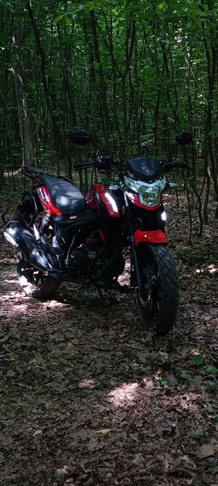 Forte bs-200 cm³