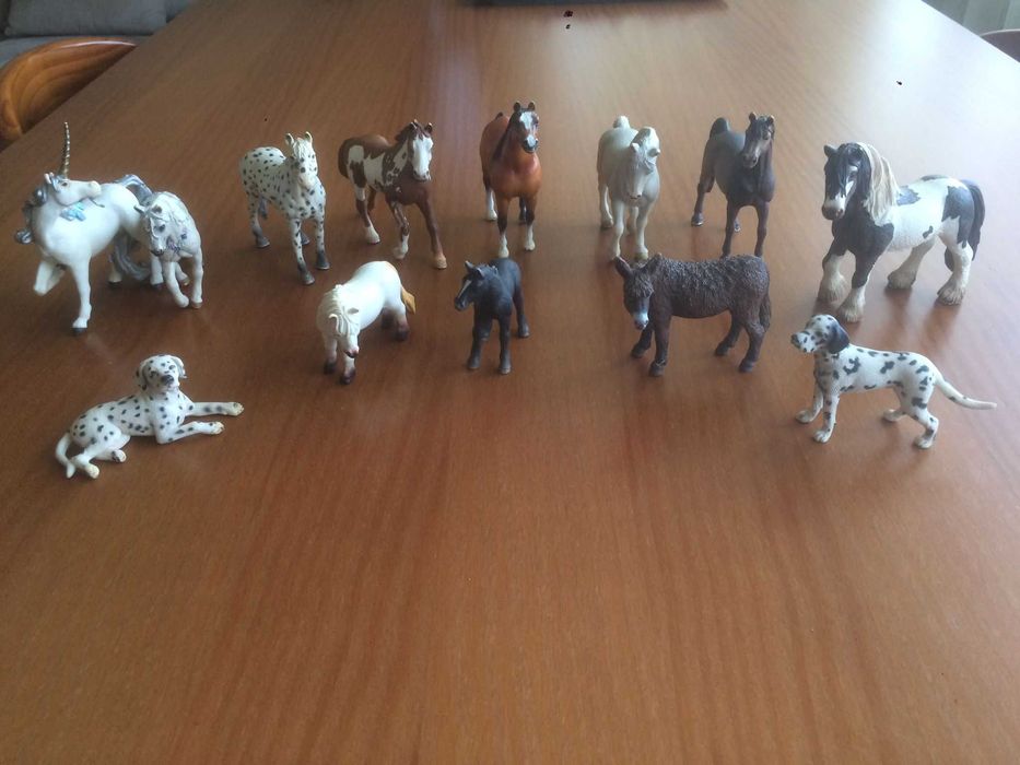 Cavalos e outros animais